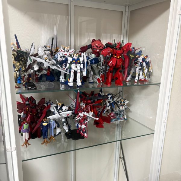 小6の卒業式の日から現在までガンプラを続けています。HG、RG、MG