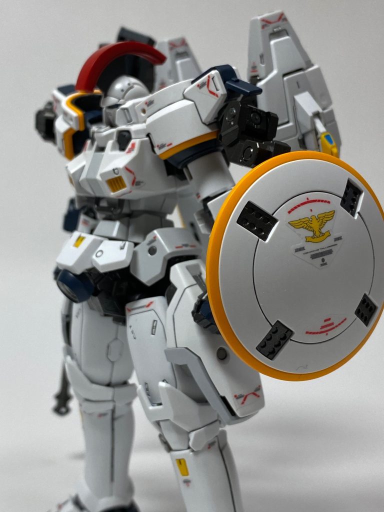 全てのモルモットに感謝🥲