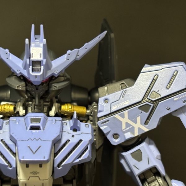 初投稿 初MG 初全塗装  MG ガンダムヴィダール