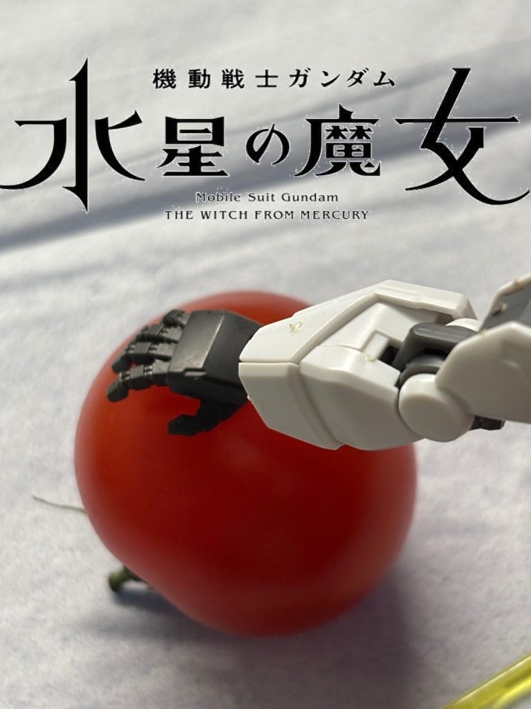 トラウマ！一応、ティッシュを敷いてトマトを守ってます！