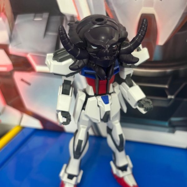 骨仮面の謎