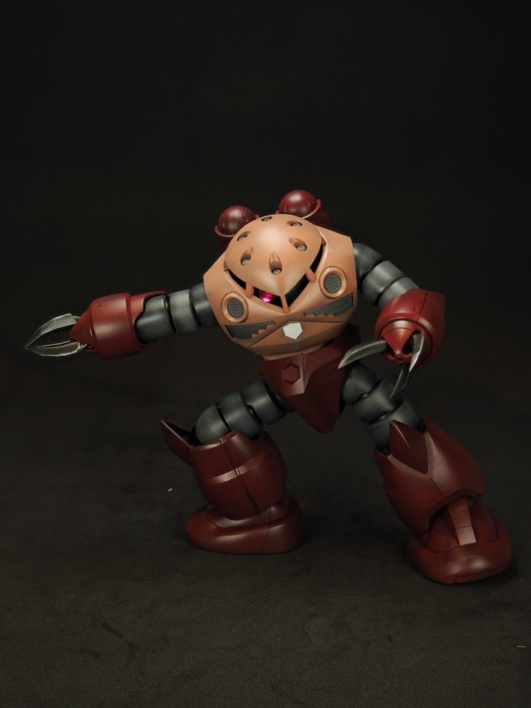 HG ズゴック（シャア専用）