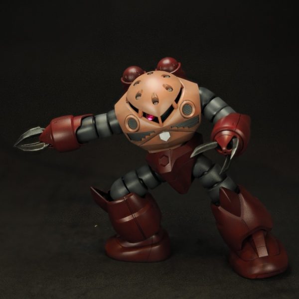HG ズゴック（シャア専用）