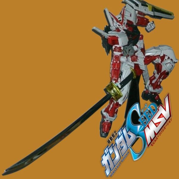 RG•ロウ専用•ガンダムアストレイレッドフレーム