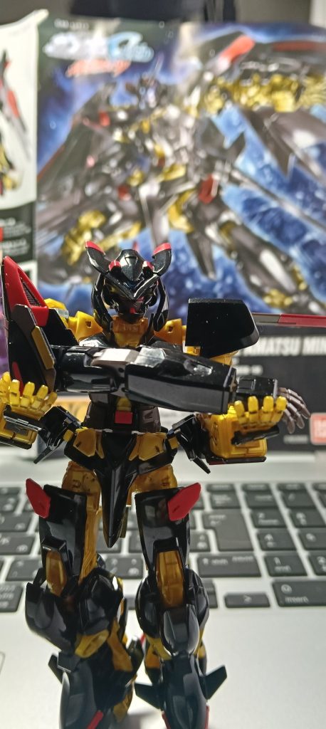 イカ耳アストレイ の 拾い物  の巻