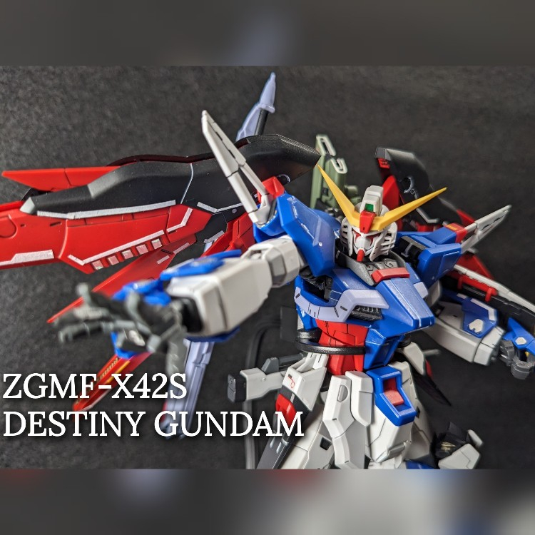 RG 1/144 デスティニーガンダム「ごまかせないってことかも…。いっくら綺麗に花が咲いても、人はまた吹き飛ばす」by　シン・アスカ