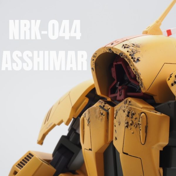 アッシマー（散弾ではなぁ）