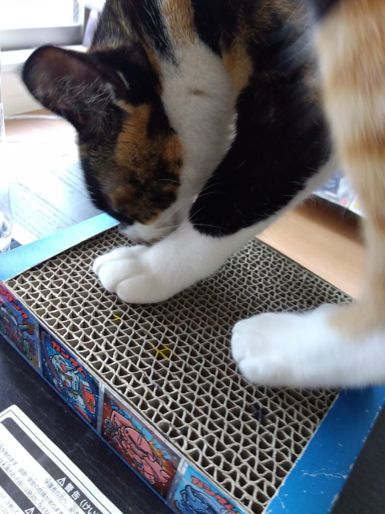 作品名：コレが本当の…<p>猫の手ステーション😸 それだけですw</p>
