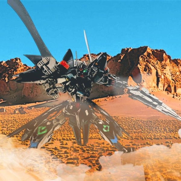 飛翔する黒き厄祭の竜　ASW-G-74ガンダムズメイニーズヘグ