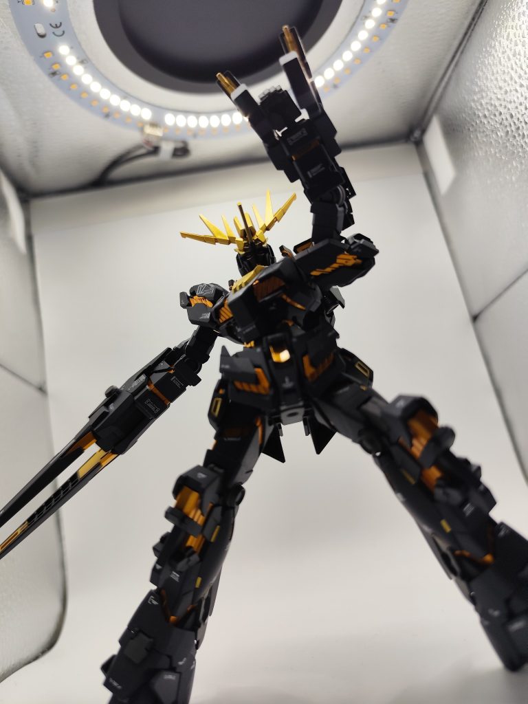 「光…私を救ってくれる光、誰にも奪わせはしない！」