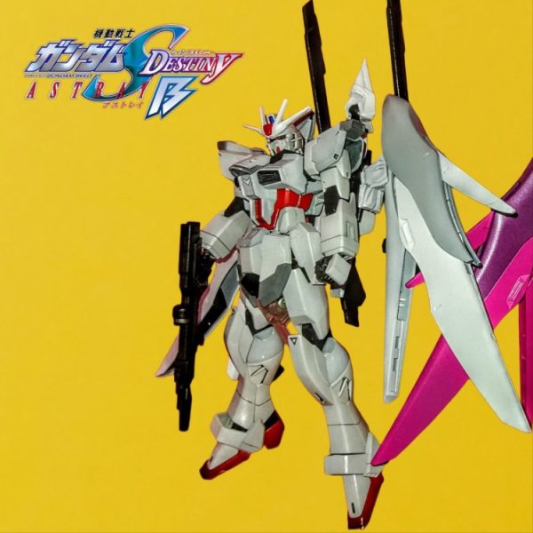 HGCE•エルザ専用•デスティニーインパルスガンダム•ブランシュ