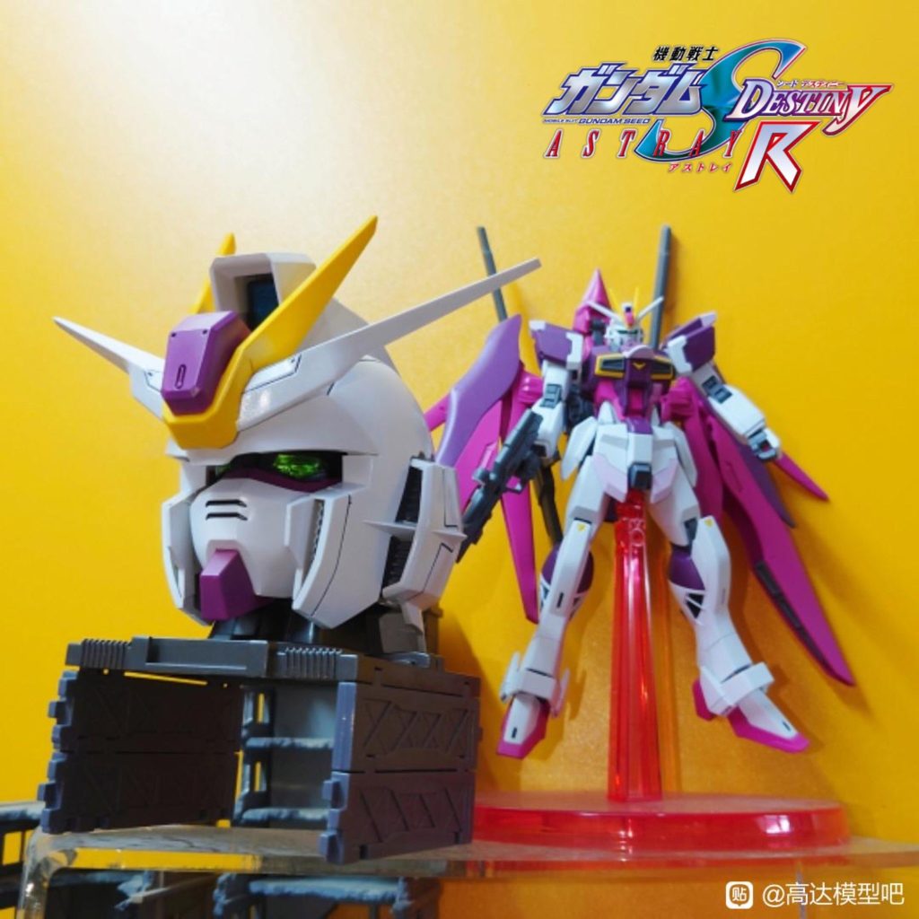 組立式•デスティニーインパルスガンダム(R)