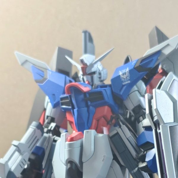 STTS-420 プロテクションデスティニーガンダム
