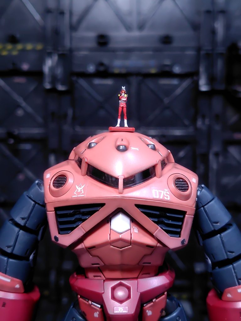 RG シャア専用ズゴック