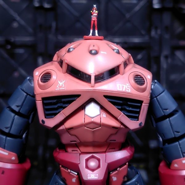 RG シャア専用ズゴック