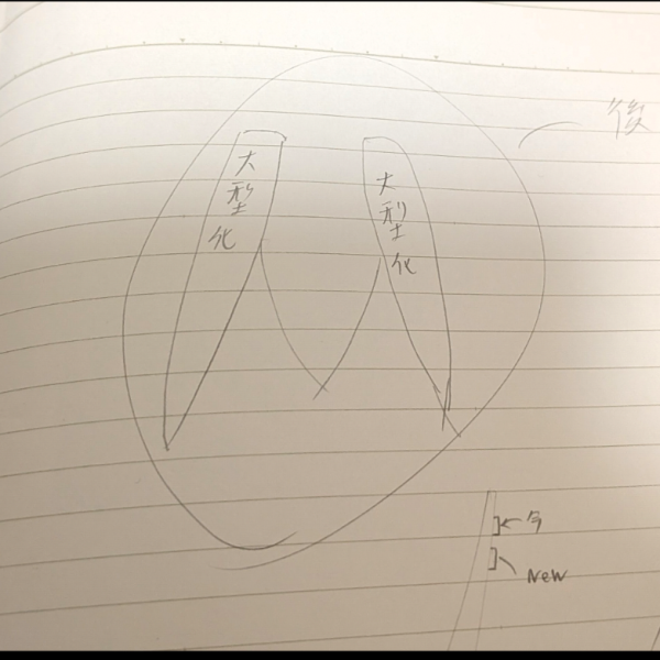 ガノタでもない友人に相談してみたところ色々アイデアを得られたので進めてる最中です汚いですが、設計図も載せてます（5枚目）