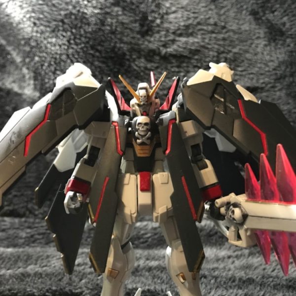 HG X1フルクロス