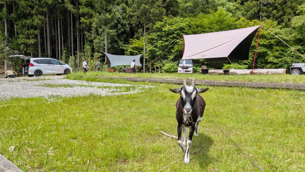 改めまして初めまして！三重県でウッズランドMioとオフロードランドMioという2店舗のキャンプ場を運営しながら、キャンプに来てくれた方々とと一緒に定期的にガンプラ作っております。https://mio-since2020.com/&nbsp;