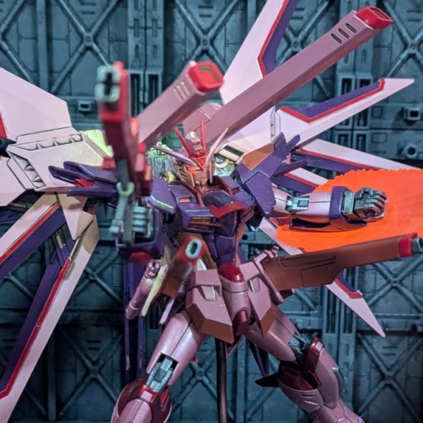 カガリ専用フリーダムルージュ