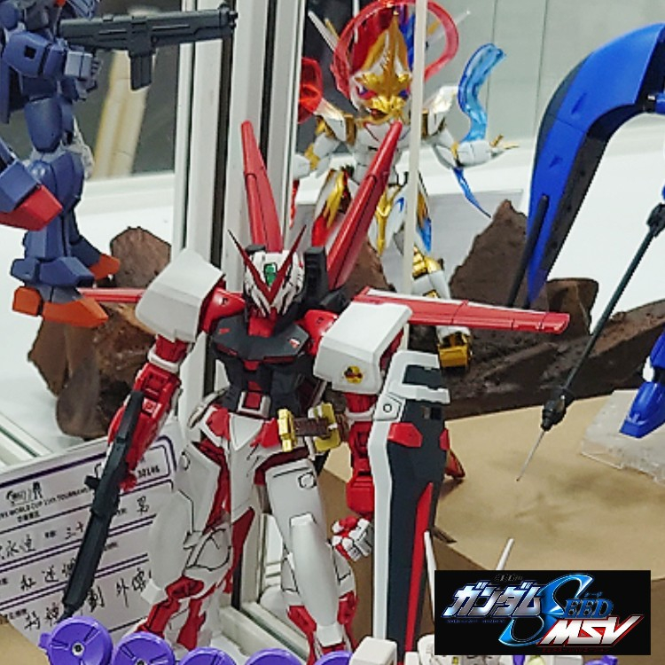 CE•1/100•ガンダムアストレイレッドフレーム•フライトユニット