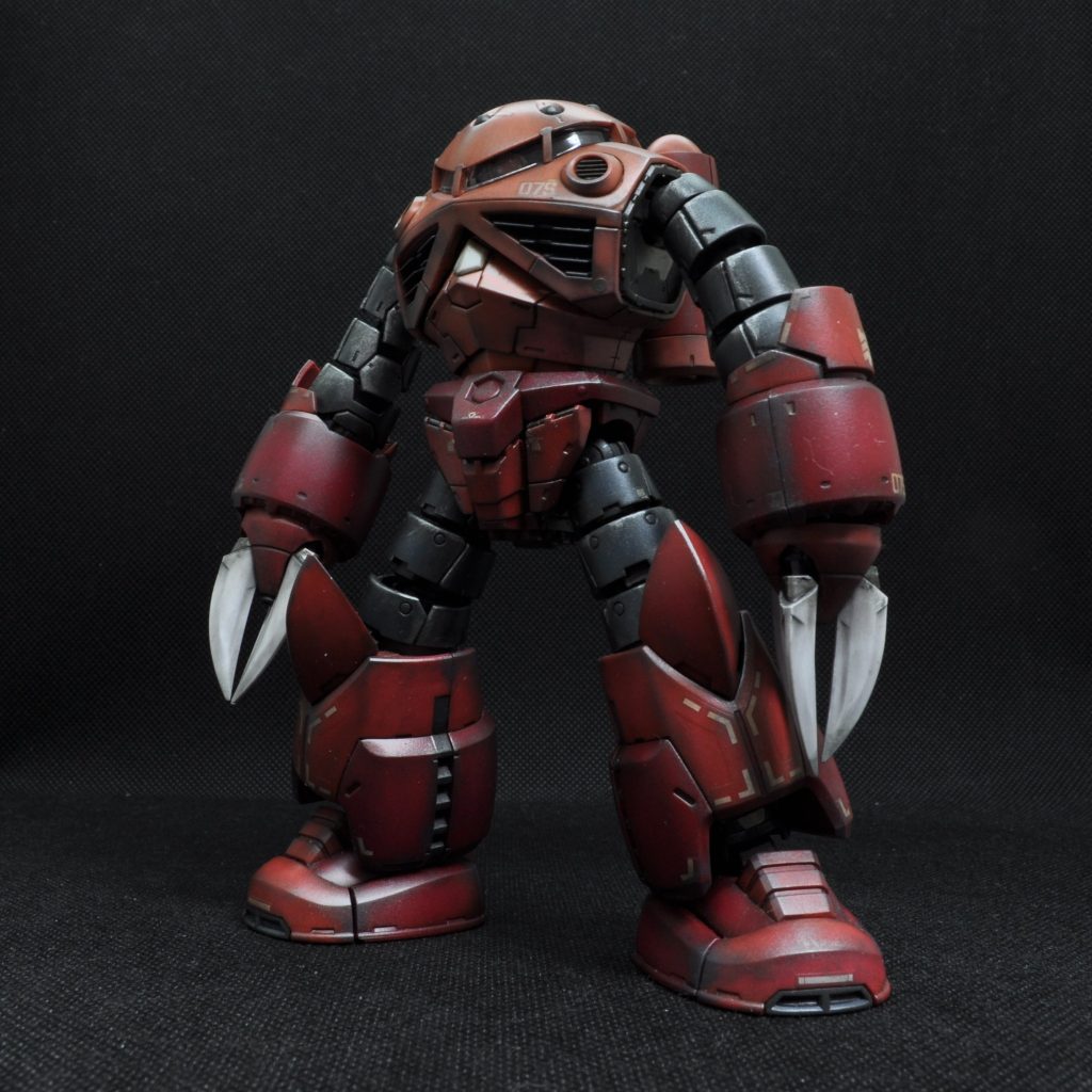 RG　シャア専用ズゴック