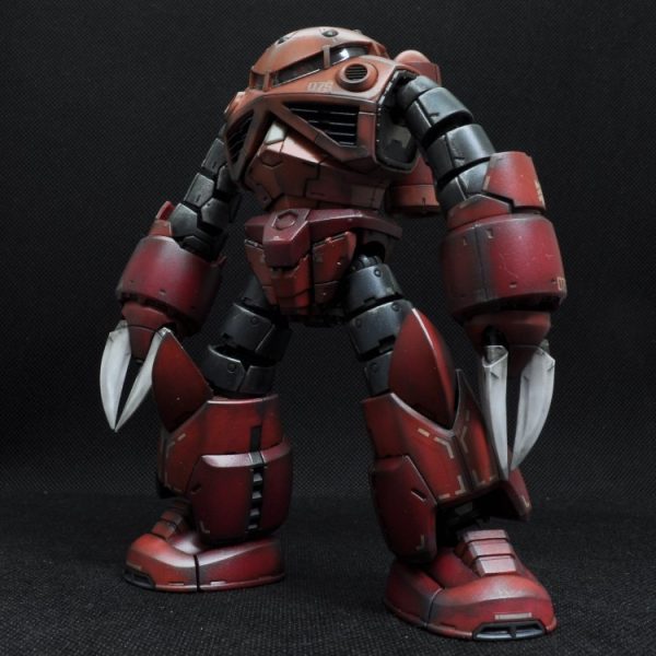 RG　シャア専用ズゴック
