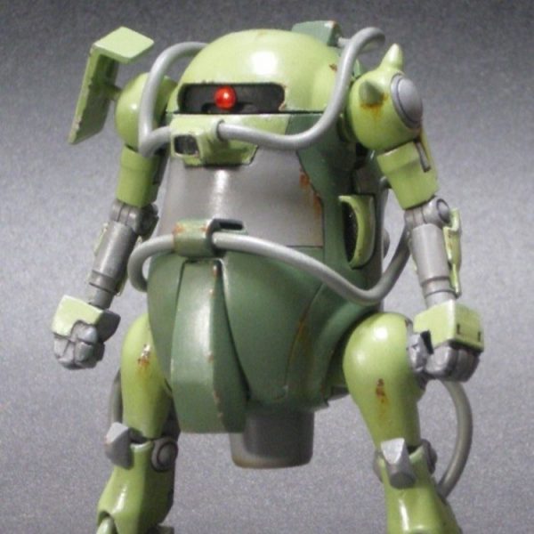 ザクのようなもの