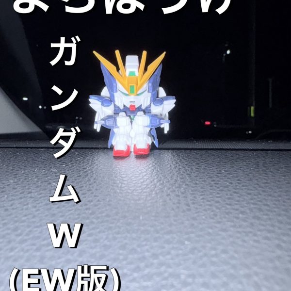 変な運の使い道