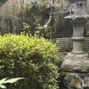しっちーだよん