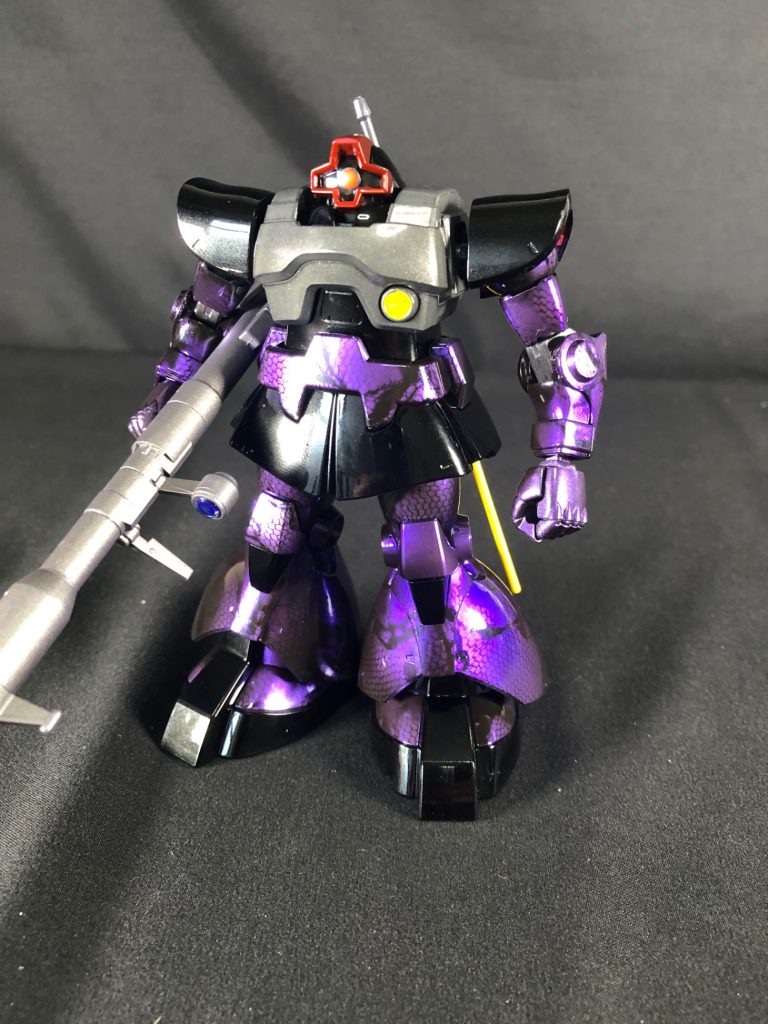 HGドム