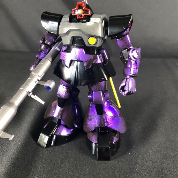 HGドム