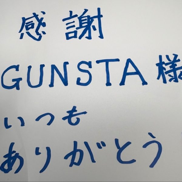 【感謝の日】プチッガイ(ガンダムベースカラー)と私