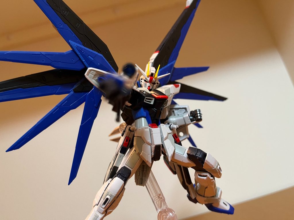 RG フリーダムガンダムver.GCP