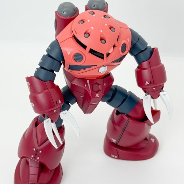 HG シャア専用ズゴック