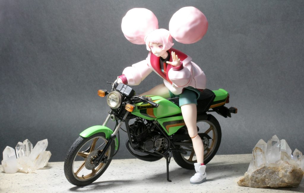 で、古いんでポロポロ、ポロポロパーツが取れて、パイセンの眼のデカール左右対称貼りに気力が全部持ってかれて、バイクの方のウィンカが左右でずれたりライトが上向いたりカウルずれたりで全然気が利かなくて申し訳ございません。パイセンの方は離れ目なのとちょっと目の位置が高い感じですけど、フィギュアの見せ方が全然わかりませんのでご容赦頂きたく思います。
