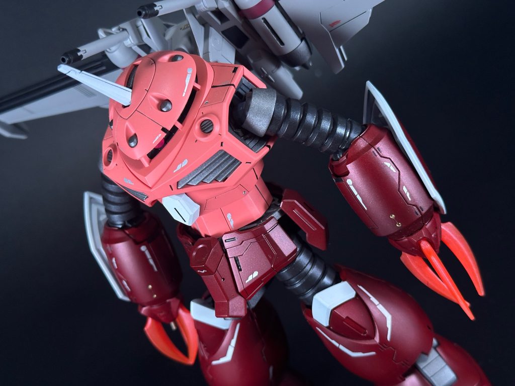 HG ズゴック SEED FREEDOM ver 全塗装