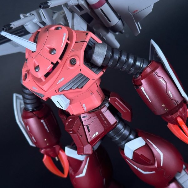 HG ズゴック SEED FREEDOM ver 全塗装