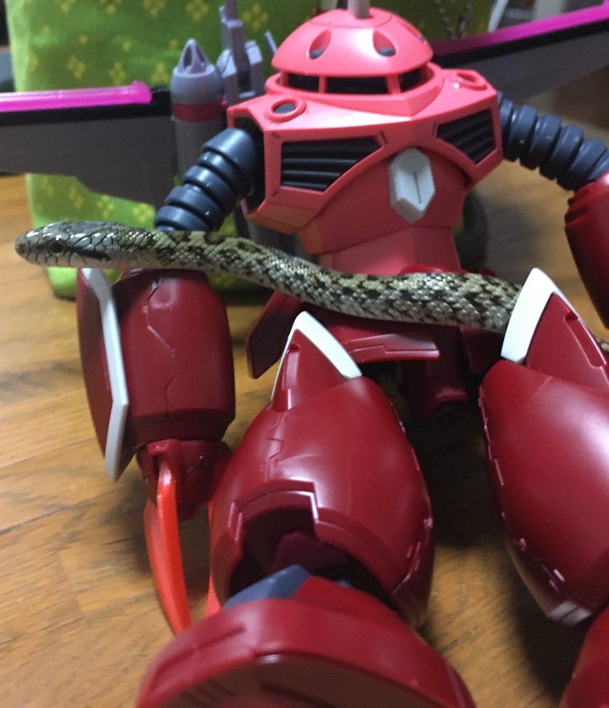 ズゴックといっしょ