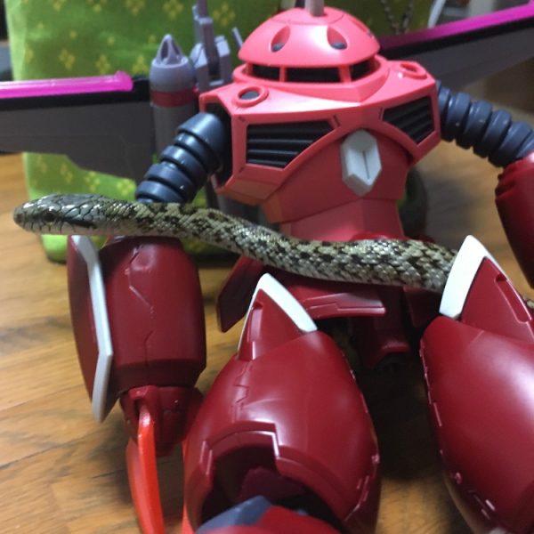 ズゴックといっしょ