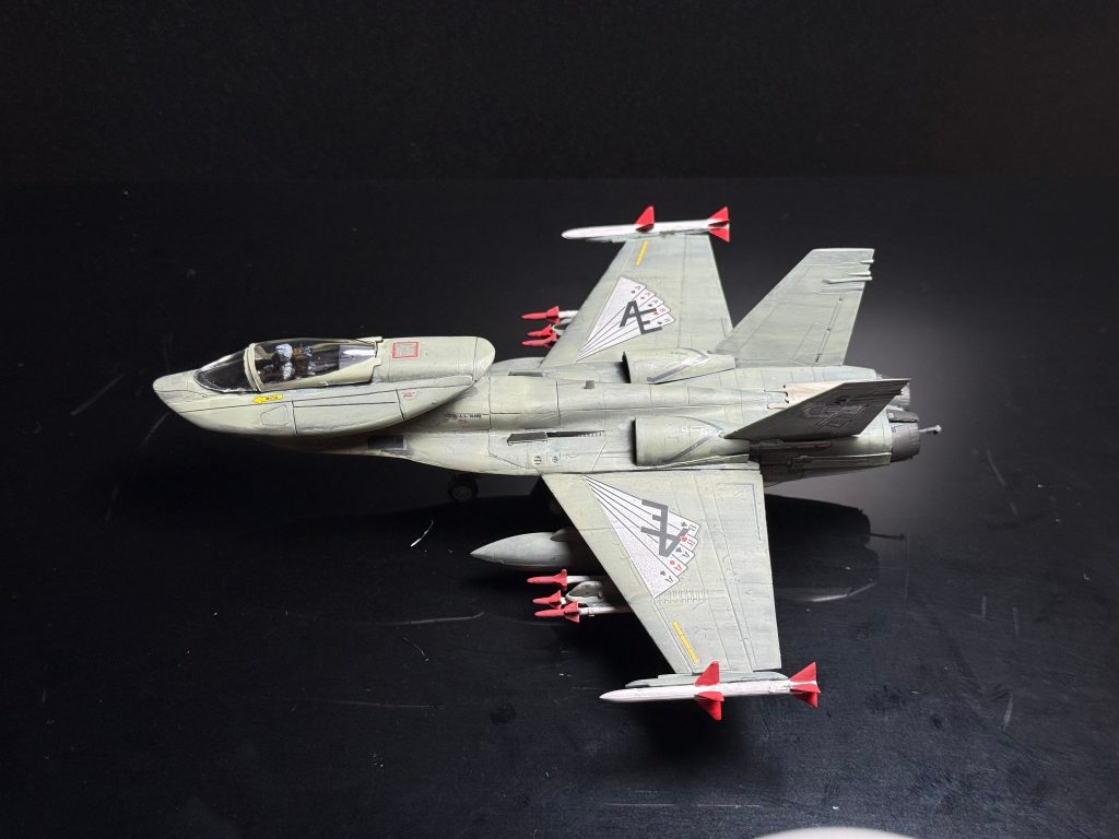 ドップ　ハセガワ 1/72 F/A-18F スーパー ホーネット改造–4枚目/制作者：0DENDEN