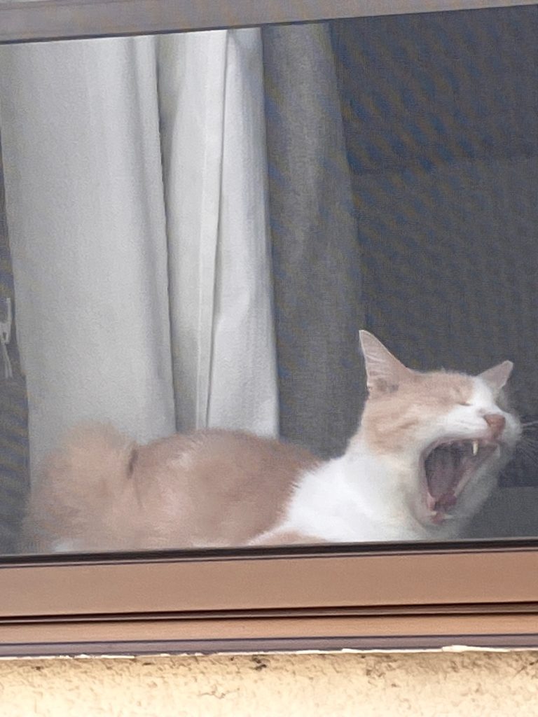 最後まで、ご覧いただきありがとうございましたm(_ _)m&nbsp;