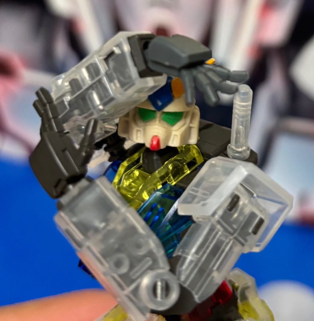 コチラを見つめてる