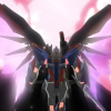 ヨウタ将軍