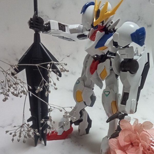 バルバドスレプスルプス