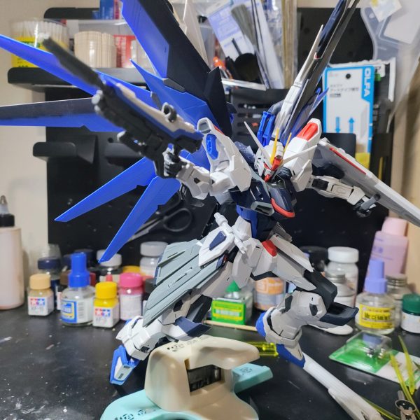 先々月にガンベ福岡で購入したMGフリーダムガンダム2.0の製作始めました。シード系の機体は製作初めてなんですが、滅茶苦茶格好良いし、ポージングもバシバシ決まるし言うことありませんね！こりゃ完成が楽しみ！ジェミニに写真の加工頼んだらいい感じにしてくれました😄（4枚目）