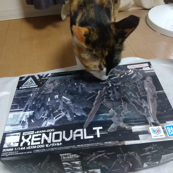 買っちゃった…