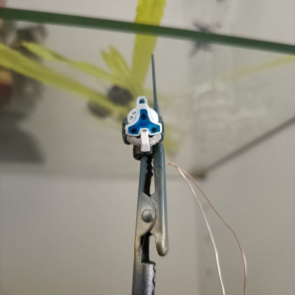 （2枚目）