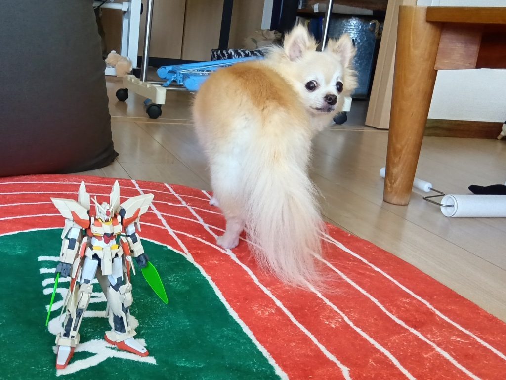 パイロットのルイ中尉