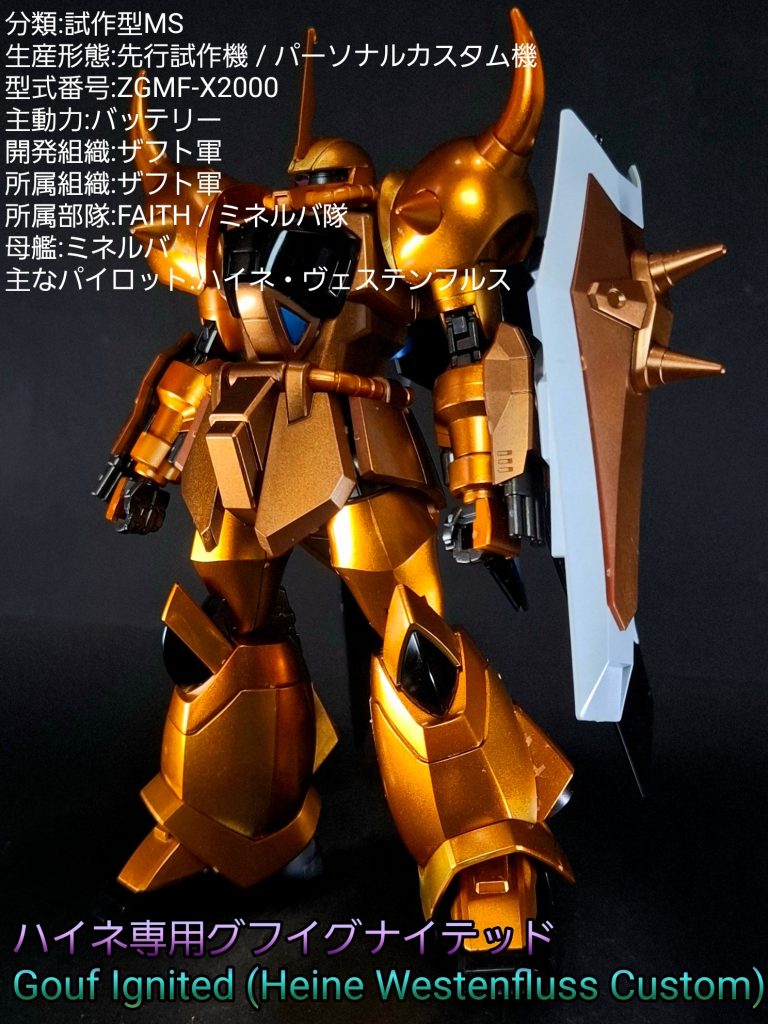 HG グフイグナイテッド(ハイネ•ヴェステンフルス機)