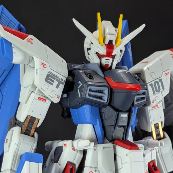ＲＧ フリーダムガンダム